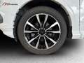Ford Kuga 1.5 ecoblue ST-Line X 2wd 120cv Wit - thumbnail 15