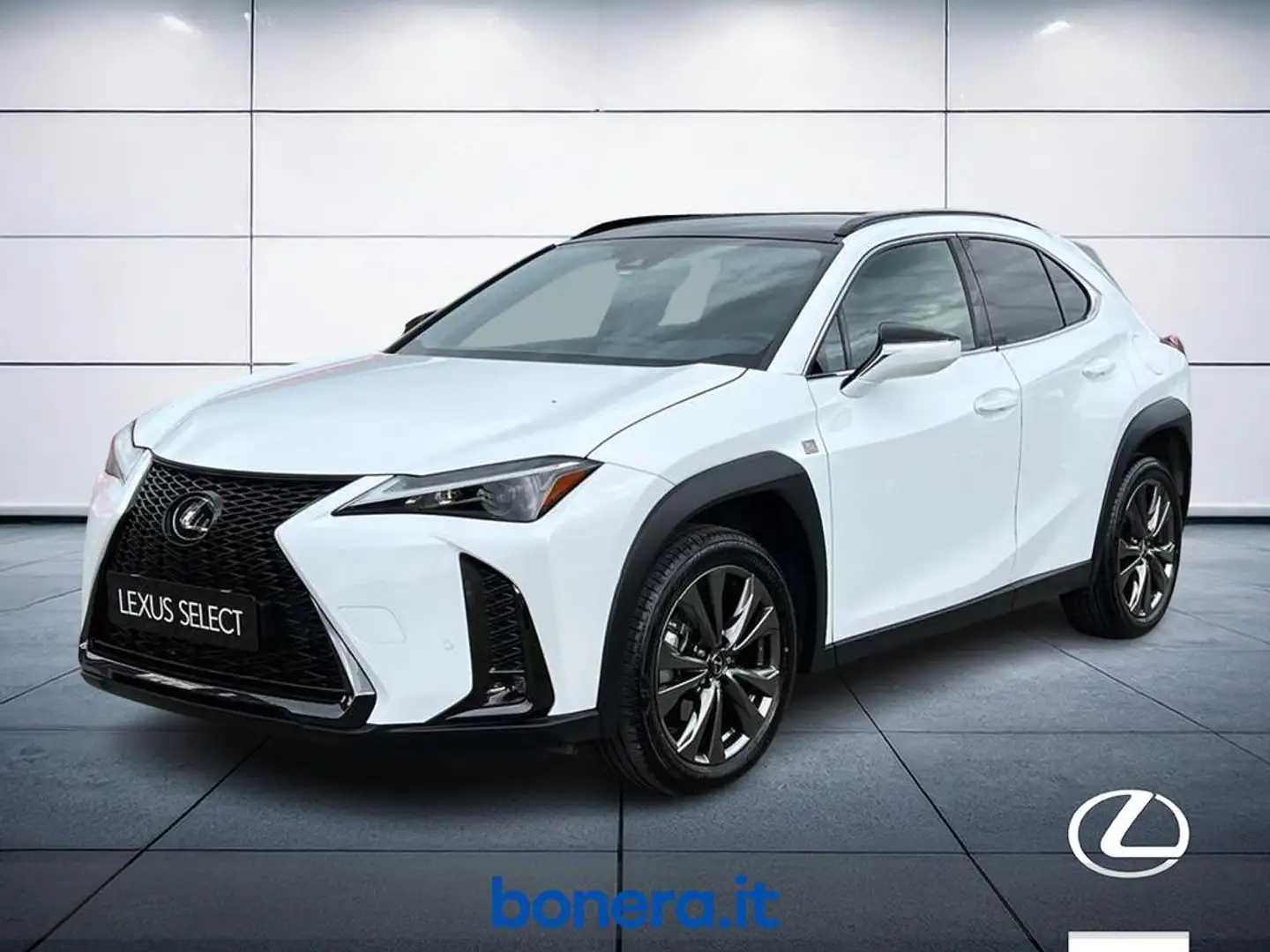 Lexus UX 250h 2.0 Design 2wd cvt Schwarz - 1