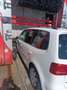 Volkswagen Touran Touran 1.6 tdi Comfortline Business Bianco - thumbnail 2