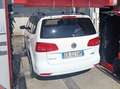Volkswagen Touran Touran 1.6 tdi Comfortline Business Bianco - thumbnail 3