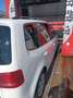 Volkswagen Touran Touran 1.6 tdi Comfortline Business Bianco - thumbnail 4