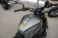 Benelli Leoncino 800 , sofort lieferbar, Lieferservice Šedá - thumbnail 11