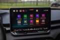 CUPRA Terramar 1.5 eTSI Business , Adap. cruise, Carplay, Stuur/s Blauw - thumbnail 18