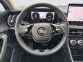 Skoda Kodiaq 2.0 SELECTION 4X4 PANO CAM LM18 E-KLAPPE Gri - thumbnail 16