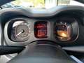 Fiat Panda TwinAir Turbo 85 4x4 Wild White - thumbnail 14