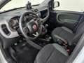 Fiat Panda TwinAir Turbo 85 4x4 Wild White - thumbnail 7