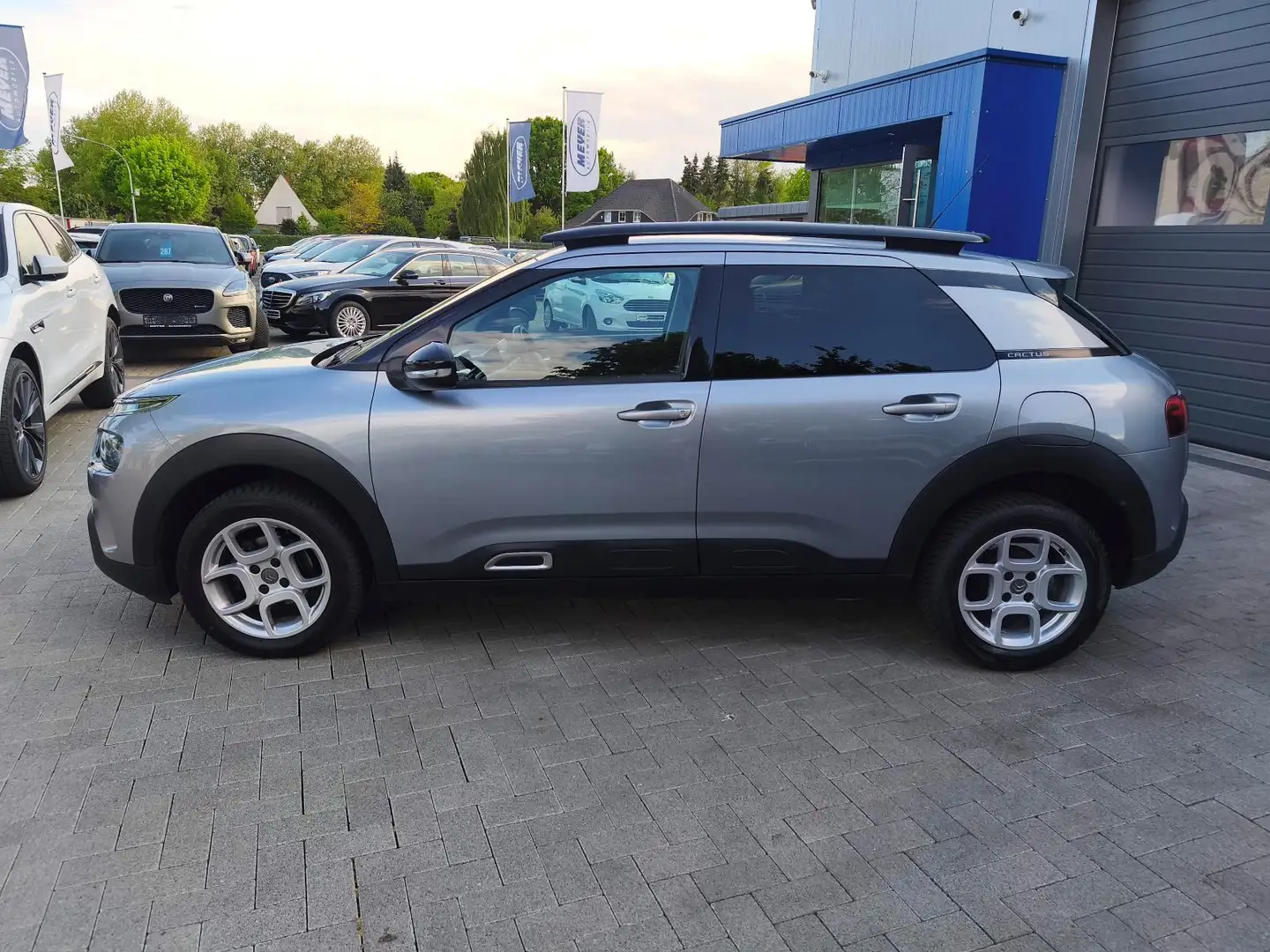 Citroen C4 Cactus Shine VirCo/Carplay/DAB/Kam/SHZ Grau - 2