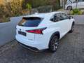 Lexus NX 300h NX 300h E-FOUR F SPORT Weiß - thumbnail 6
