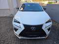Lexus NX 300h NX 300h E-FOUR F SPORT Weiß - thumbnail 1