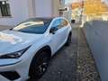 Lexus NX 300h NX 300h E-FOUR F SPORT Weiß - thumbnail 3