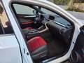 Lexus NX 300h NX 300h E-FOUR F SPORT Weiß - thumbnail 12