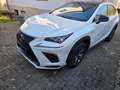Lexus NX 300h NX 300h E-FOUR F SPORT Weiß - thumbnail 2