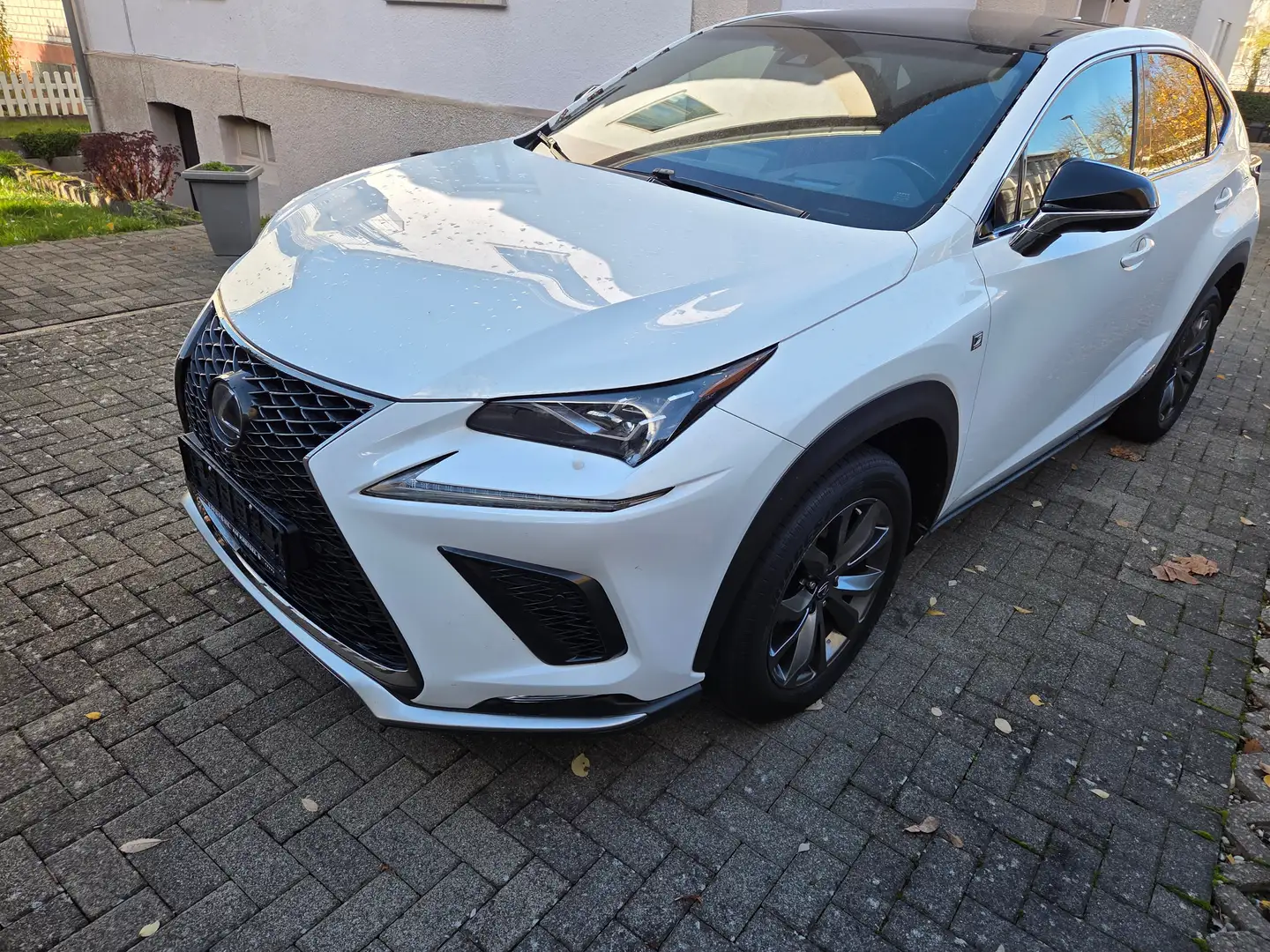 Lexus NX 300h NX 300h E-FOUR F SPORT Weiß - 2