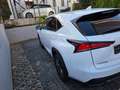 Lexus NX 300h NX 300h E-FOUR F SPORT Weiß - thumbnail 8
