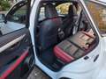Lexus NX 300h NX 300h E-FOUR F SPORT Weiß - thumbnail 10