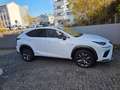 Lexus NX 300h NX 300h E-FOUR F SPORT Weiß - thumbnail 5