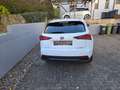 Lexus NX 300h NX 300h E-FOUR F SPORT Weiß - thumbnail 7