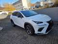 Lexus NX 300h NX 300h E-FOUR F SPORT Weiß - thumbnail 4