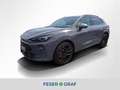 CUPRA Terramar VZ 2.0 TSI 4D *HD MATRIX*Pano*Akebono Grigio - thumbnail 1
