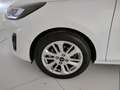 Ford Fiesta 5p 1.1 Titanium 75cv Weiß - thumbnail 5