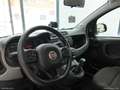 Fiat Panda CITY Cross 1.0 FireFly S&S Hybrid Nero - thumbnail 13
