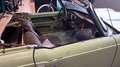 Triumph TR4 Roadster Grün - thumbnail 20