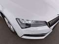 Skoda Superb Combi 1.4 TSI Style PHEV Aut LED AHK RADAR Weiß - thumbnail 12