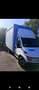 Iveco Daily Telonato Bianco - thumbnail 3