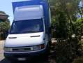 Iveco Daily Telonato Bianco - thumbnail 11