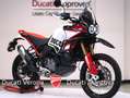 Ducati DesertX Desert X Rally 2024 - solo 374 km - thumbnail 3