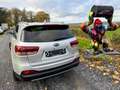 Kia Sorento 2.2 CRDi AWD Sense 7pl. Gri - thumbnail 7