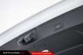Audi RS6 RS 6 Avant 4.0 TFSI quattro tiptronic Bianco - thumbnail 14