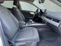 Audi A5 SPB 3.0 TDI quattro S tronic*S-LINE* Bianco - thumbnail 14