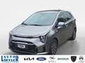 Kia Picanto 1.0 Vision - sofort Verfügbar!- Grau - thumbnail 1