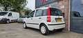 Fiat Panda 1.2 Active NAP! Stuurbekrachtiging! Nieuwe Apk! Ne Blanc - thumbnail 3