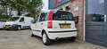 Fiat Panda 1.2 Active NAP! Stuurbekrachtiging! Nieuwe Apk! Ne Blanc - thumbnail 11