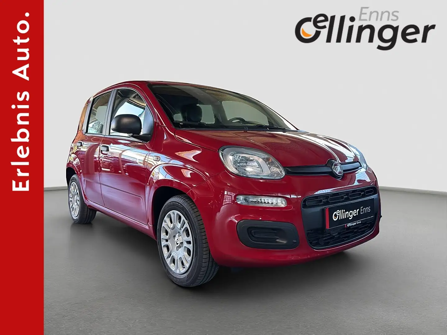 Fiat Panda Rot - 1