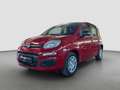 Fiat Panda Rot - thumbnail 2