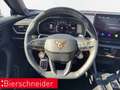 CUPRA Formentor VZ 2.0 TSI 4Drive DSG  CarOnSale 19 LED KAMERA AHK Grau - thumbnail 9