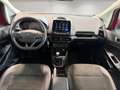 Ford EcoSport 1.0 EcoBoost ST-Line NUR 528 KM Winter-Paket - thumbnail 14