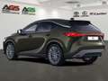 Lexus RX 450h Luxury Line E-FOUR PANORAMA AHK abnhembar Grün - thumbnail 3