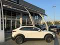 Mazda CX-30 CX-30 2.0 m-hybrid Evolve 2wd 122cv 6mt Bianco - thumbnail 3