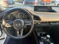 Mazda CX-30 CX-30 2.0 m-hybrid Evolve 2wd 122cv 6mt Bianco - thumbnail 12