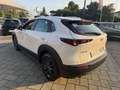 Mazda CX-30 CX-30 2.0 m-hybrid Evolve 2wd 122cv 6mt Bianco - thumbnail 5