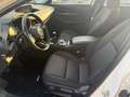 Mazda CX-30 CX-30 2.0 m-hybrid Evolve 2wd 122cv 6mt Bianco - thumbnail 10