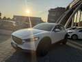 Mazda CX-30 CX-30 2.0 m-hybrid Evolve 2wd 122cv 6mt Bianco - thumbnail 6