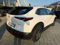 Mazda CX-30 CX-30 2.0 m-hybrid Evolve 2wd 122cv 6mt Bianco - thumbnail 4