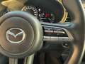 Mazda CX-30 CX-30 2.0 m-hybrid Evolve 2wd 122cv 6mt Bianco - thumbnail 15