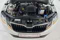 Skoda Octavia Octavia Combi Style Green tec*1,0-85KW*LED*AHK*EU6 Weiß - thumbnail 4