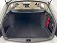 Skoda Octavia Octavia Combi Style Green tec*1,0-85KW*LED*AHK*EU6 Weiß - thumbnail 12